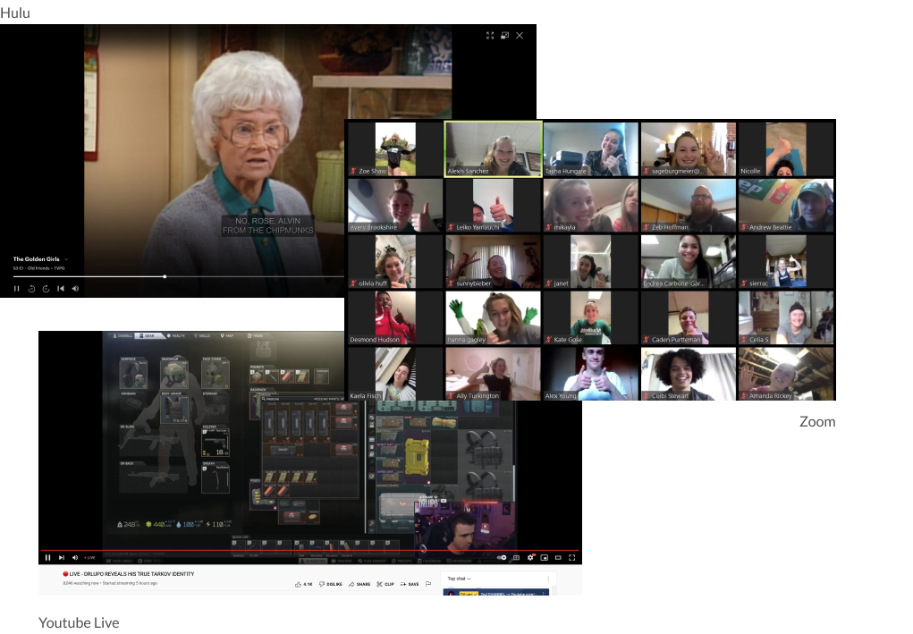 Reference set: Zoom, Disney+, Skype, Netflix, YouTube Live, Peloton, Nike Training Club, Hulu